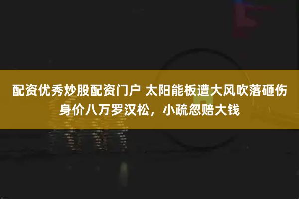 配资优秀炒股配资门户 太阳能板遭大风吹落砸伤身价八万罗汉松，小疏忽赔大钱