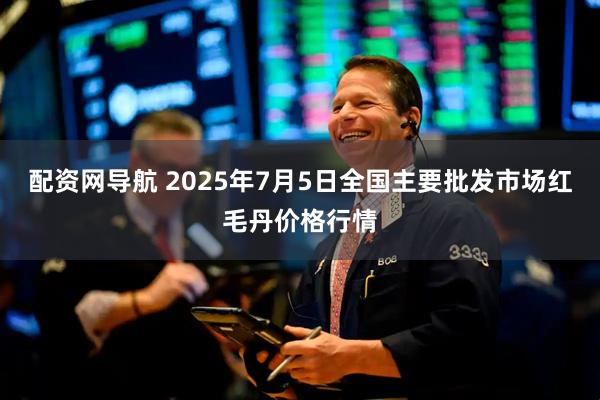 配资网导航 2025年7月5日全国主要批发市场红毛丹价格行情