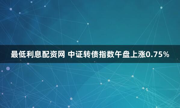 最低利息配资网 中证转债指数午盘上涨0.75%