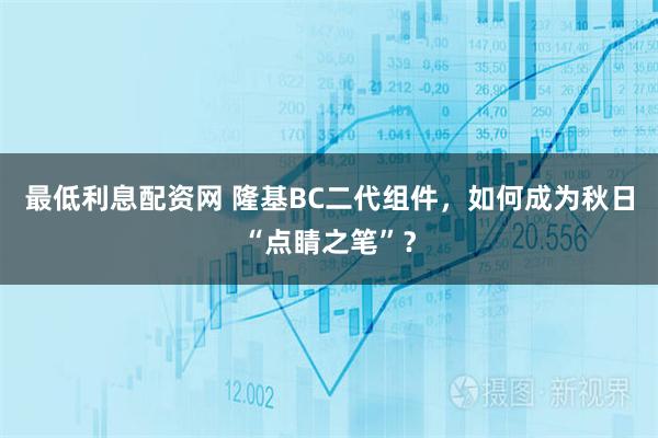 最低利息配资网 隆基BC二代组件，如何成为秋日“点睛之笔”？