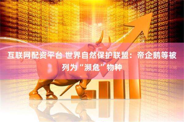 互联网配资平台 世界自然保护联盟：帝企鹅等被列为“濒危”物种